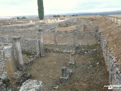 Clunia Sulpicia y Sendero de los Arabuzos: Patrimonio Romano; senderismo la pedriza fotos nacimiento